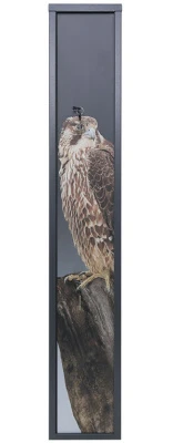 Сейф оружейный Aiko Беркут-3 Print